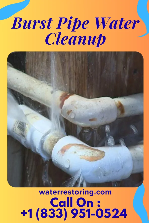 Burst Pipe Water Cleanup in Stark City, MO