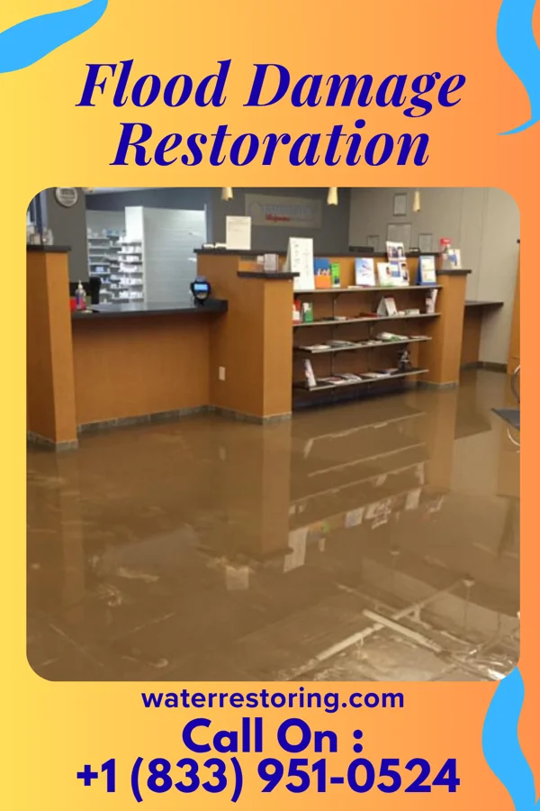 Flood Damage Restoration in Stark City, MO