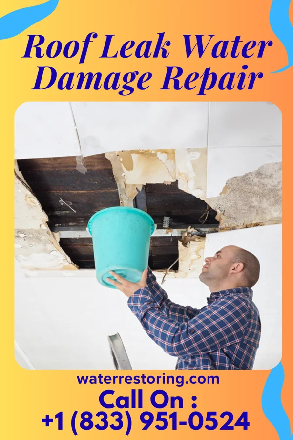 Roof Leak Water Damage Repair in Stark City, MO