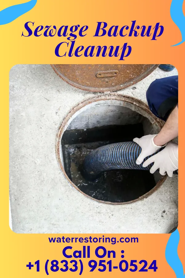 Sewage Backup Cleanup in Stark City, MO