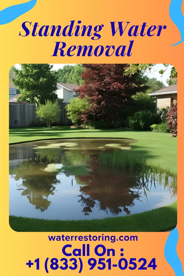 Standing Water Removal in Stark City, MO